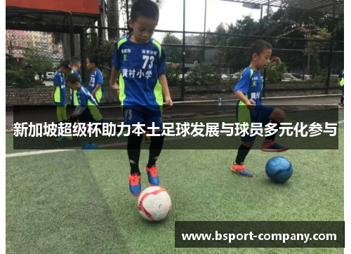 新加坡超级杯助力本土足球发展与球员多元化参与 新加坡超级杯助力本土足球发展与球员多元化参与