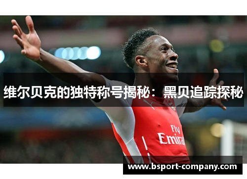 维尔贝克的独特称号揭秘：黑贝追踪探秘