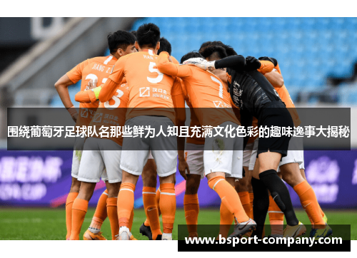 围绕葡萄牙足球队名那些鲜为人知且充满文化色彩的趣味逸事大揭秘
