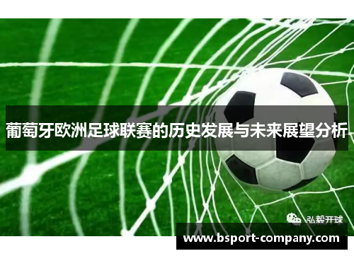 葡萄牙欧洲足球联赛的历史发展与未来展望分析