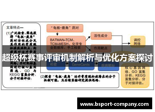 超级杯赛事评审机制解析与优化方案探讨