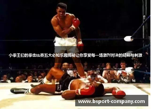 小拳王们的拳击比赛五大必知乐趣揭秘让你享受每一场激烈对决的精彩与刺激 小拳王们的拳击比赛五大必知乐趣揭秘让你享受每一场激烈对决的精彩与刺激