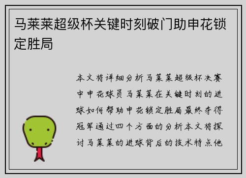 马莱莱超级杯关键时刻破门助申花锁定胜局